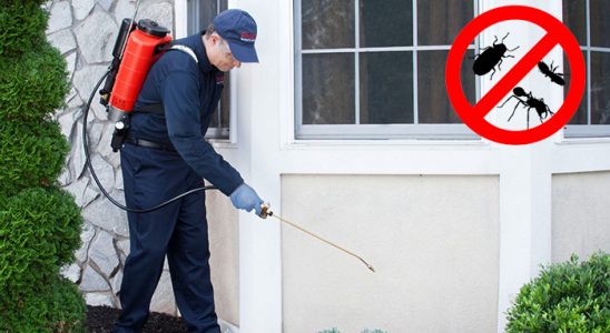 Adaklı Sivrisinek İlaçlama böcek ilaçlama ve haşere kontrolü — ilaclama-tr.com